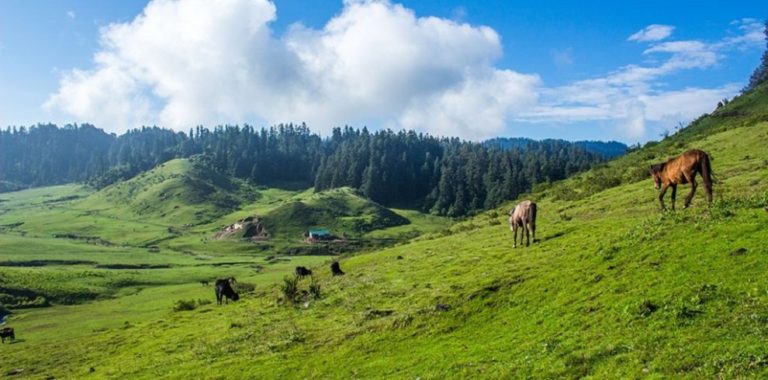 Khaptad National Park tour - Nature Fun Adventure