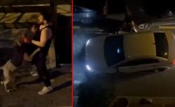 İstanbul’da pitbull dehşeti: Sahibini sokak ortasında kanlar içinde bıraktı