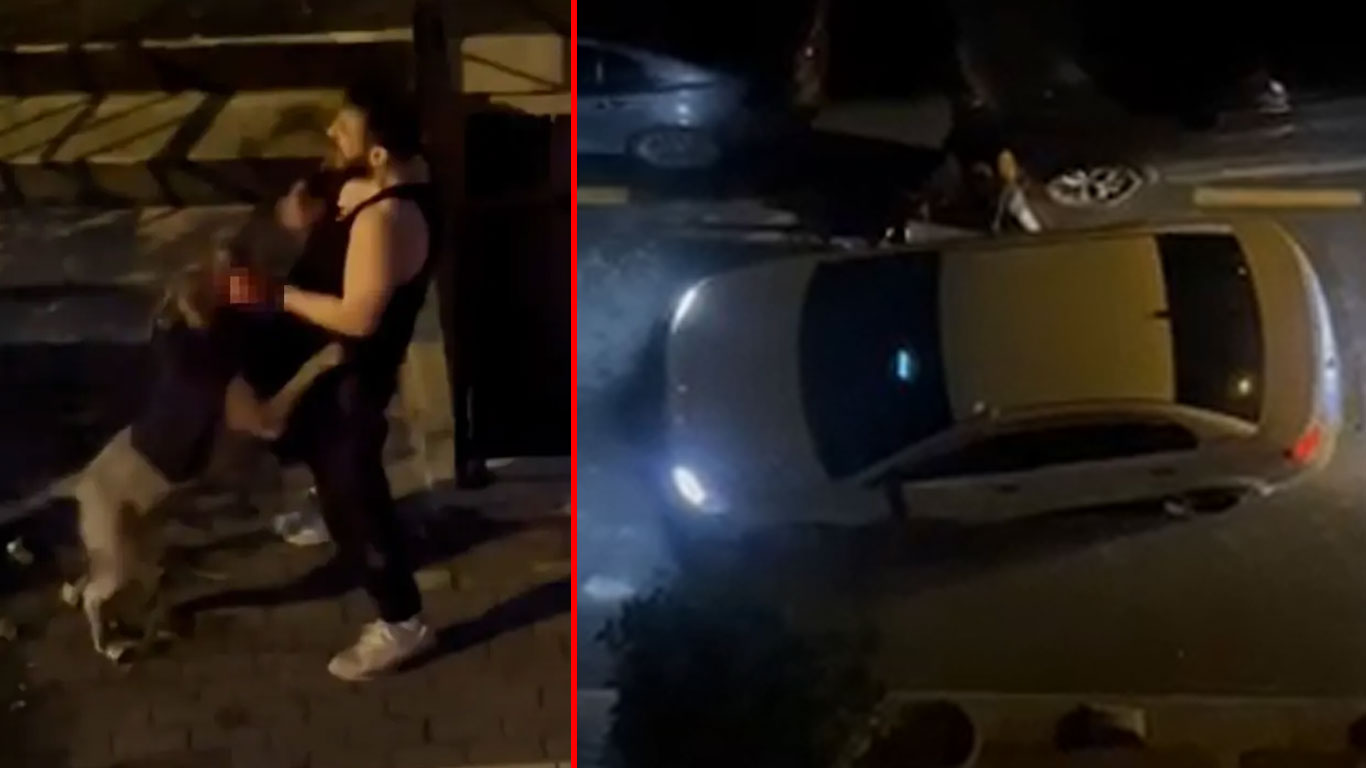 İstanbul’da pitbull dehşeti: Sahibini sokak ortasında kanlar içinde bıraktı
